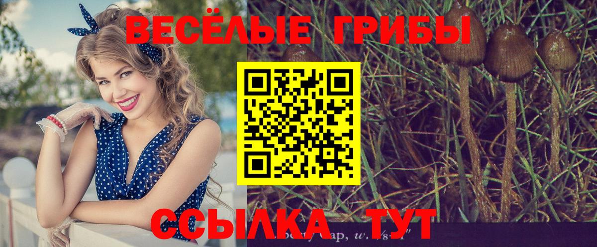 Соликамск  Галлюциногенные грибы Psilocybine cubensis  Галлюциногенные грибы GOLDEN TEACHER  Вход с VPN 
