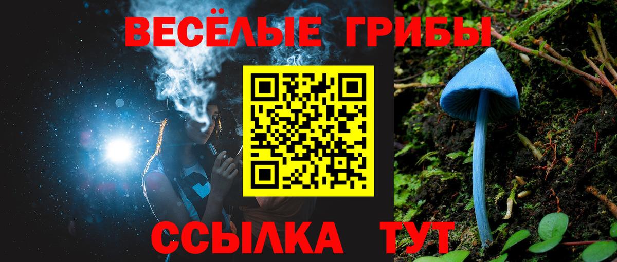 Псилоцибиновые грибы прущие грибы Соликамск